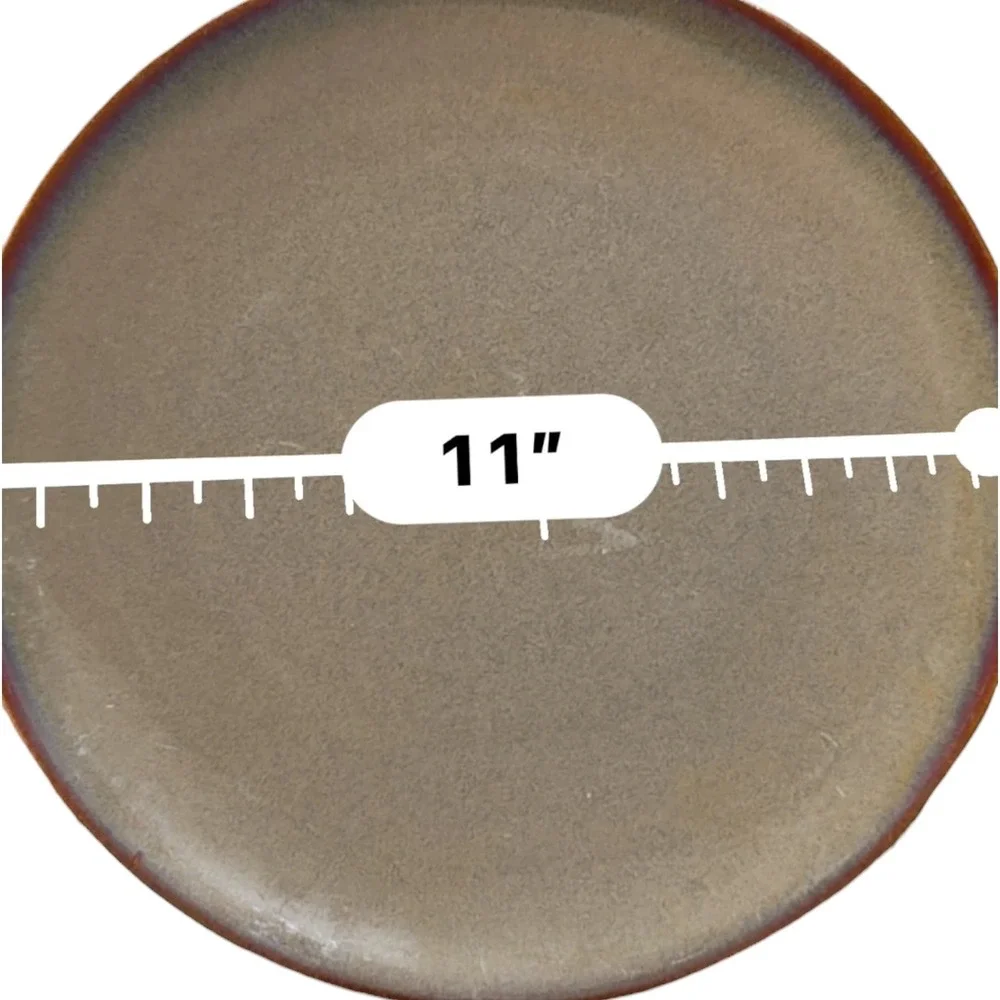 JCPenney Brown Stoneware Dinner Plates Set of 4 Speckled Matte 11 Inch Round